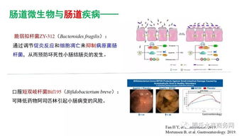 王高學(xué) 腸道微生物與動(dòng)物健康——水產(chǎn)微生態(tài)制劑研究應(yīng)用現(xiàn)狀與趨勢丨2019水產(chǎn)動(dòng)保配方師大會(huì)報(bào)告①